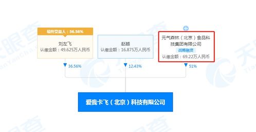 信息咨询服务 开启智慧决策的金钥匙