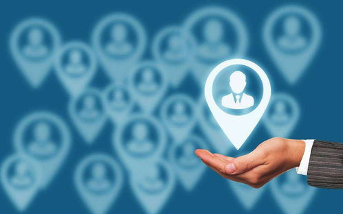 成为最受用的软件企业 信息咨询服务的战略与实践