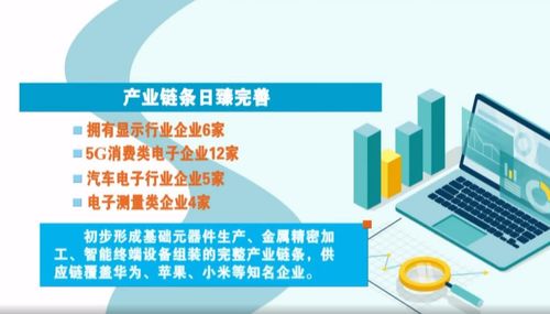 奋进在春光里 电子信息产业满园春色，赋能向海图强与信息咨询服务共振